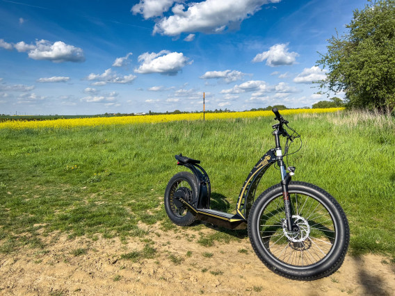 HUGO Bike BIG One X