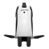 Inmotion E20